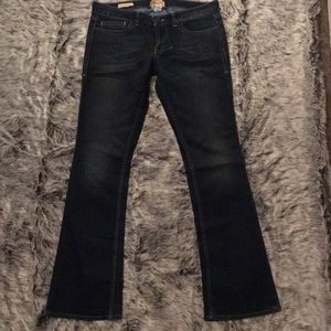 Size 31 William Rast Stella Bootcut jeans.